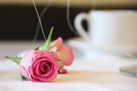 Romantyczny weekend w Modrzewie Park Hotel*****
